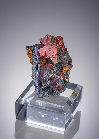 CC26951 specimen image
