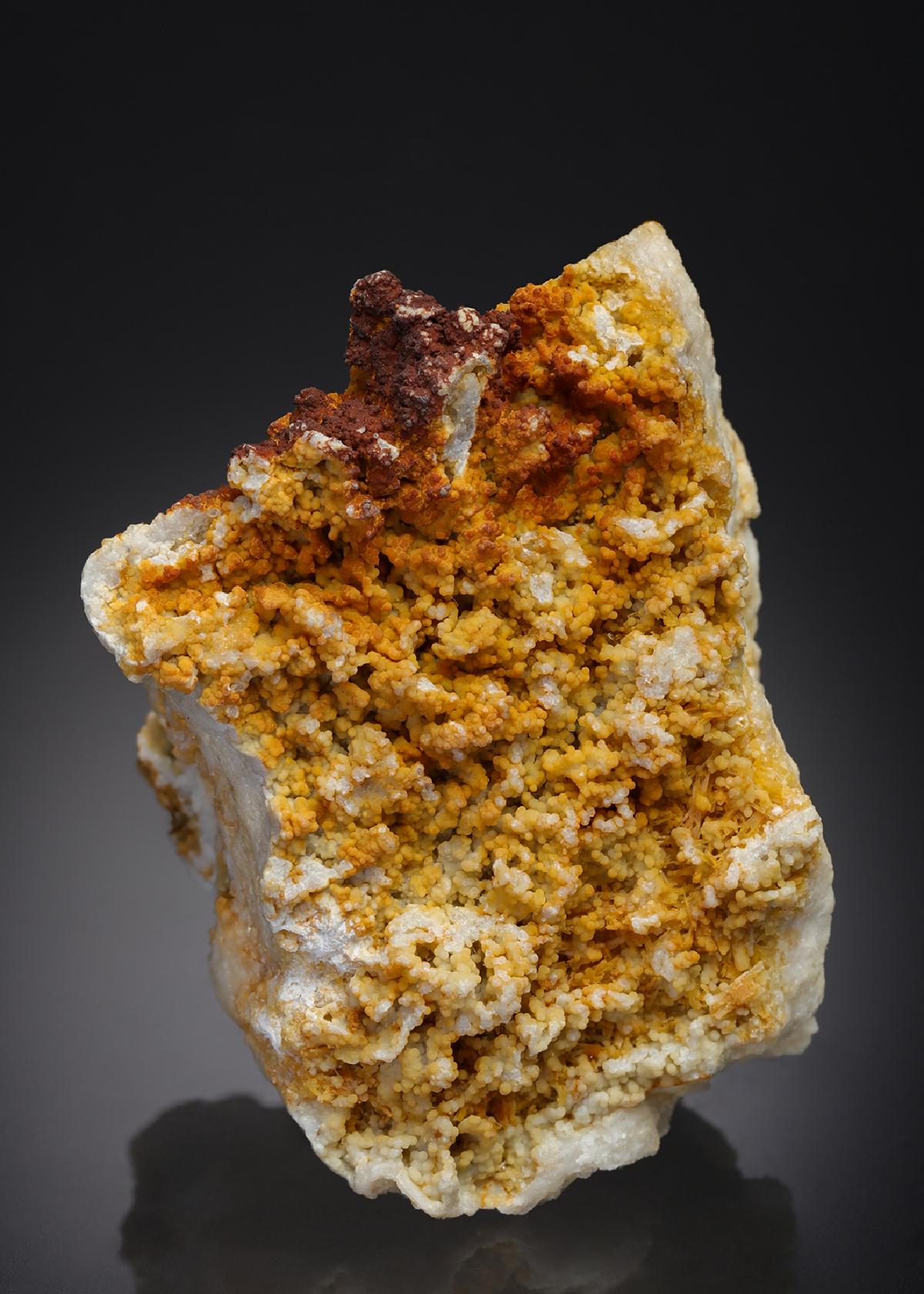 CC26953 specimen image