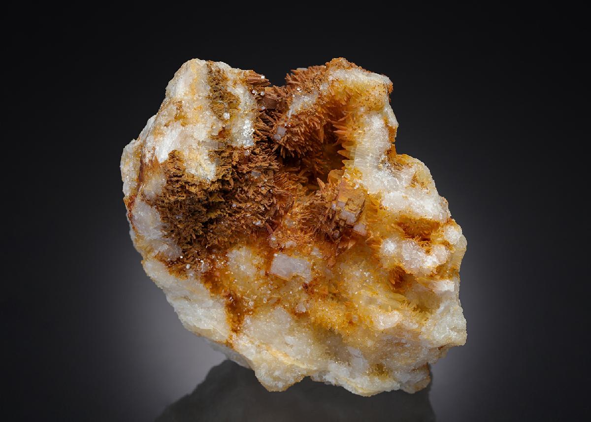 CC26955 specimen image