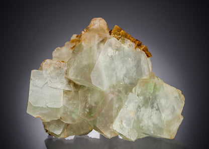 CC26959 specimen image