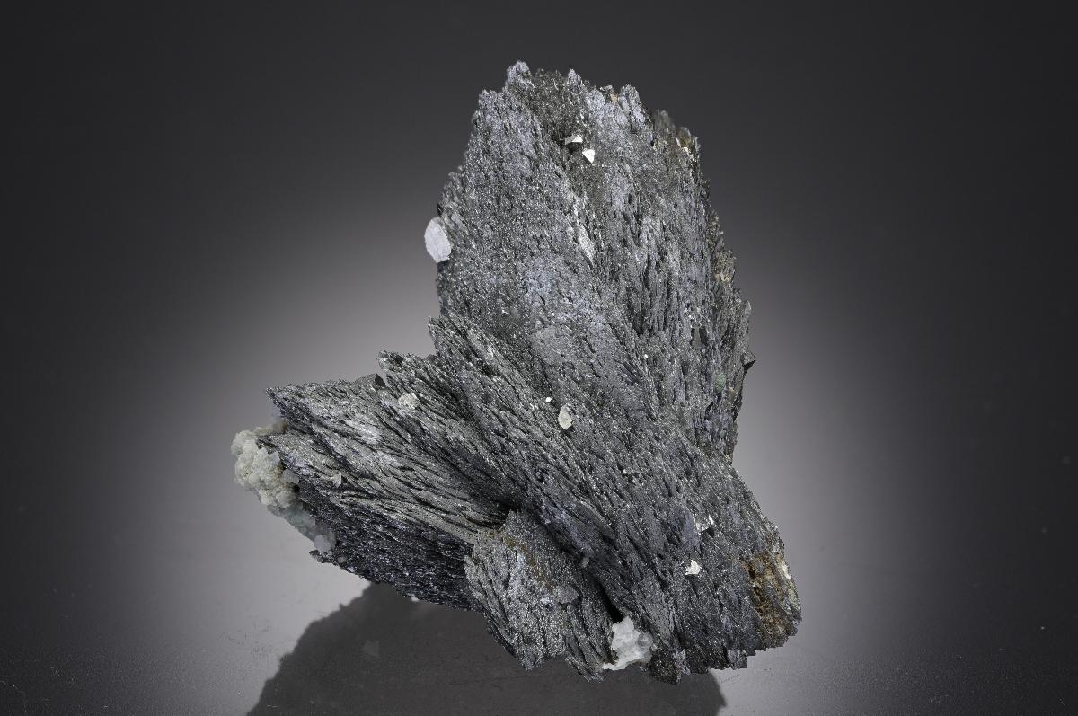 CC26961 specimen image