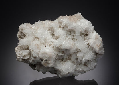 CC26975 specimen image