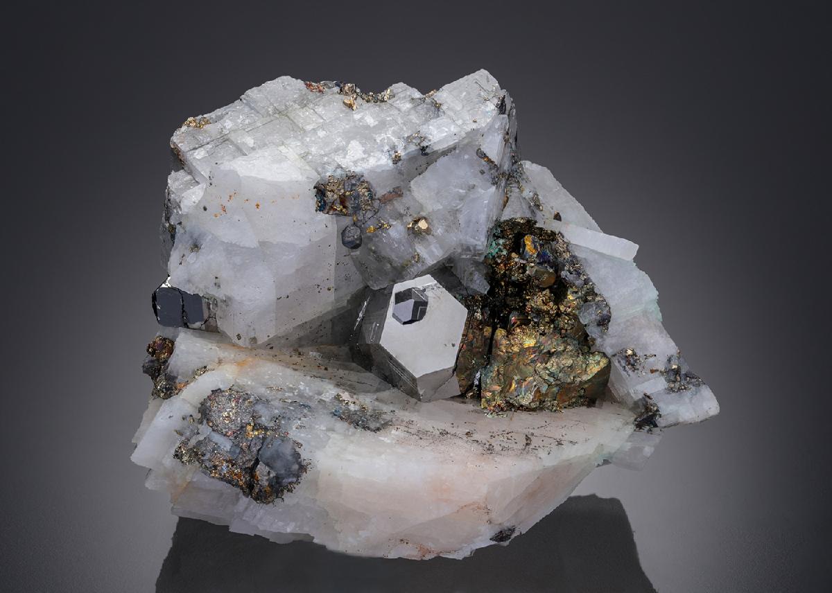 CC26981 specimen image