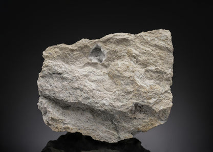 CC26991 specimen image