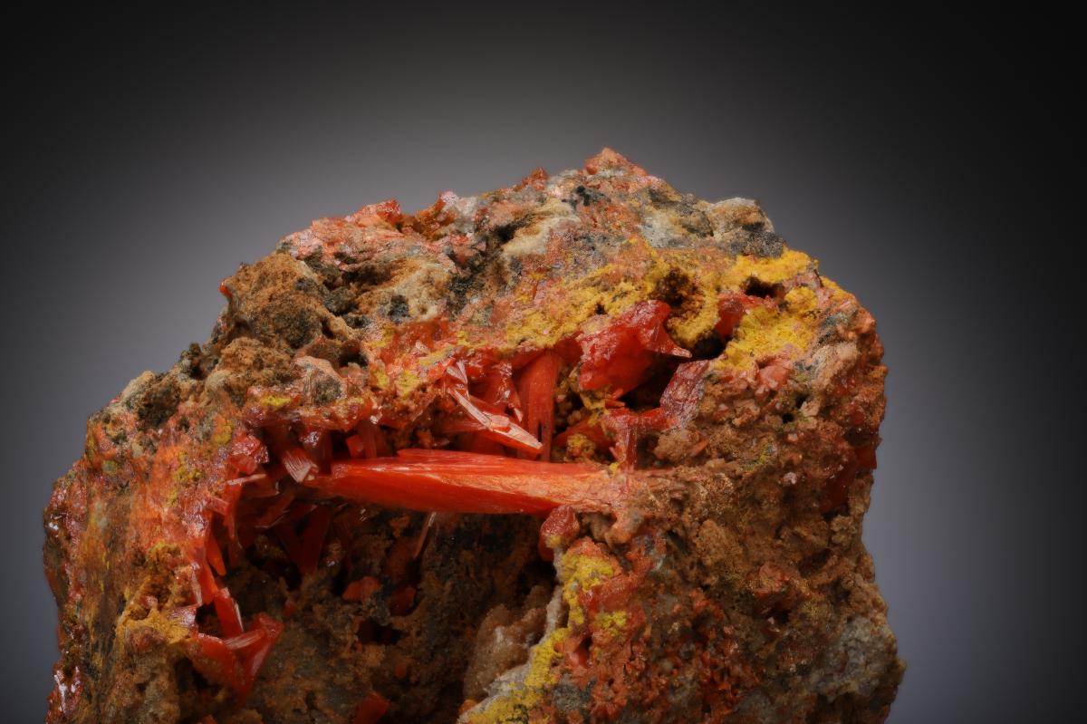 CC27005 specimen image