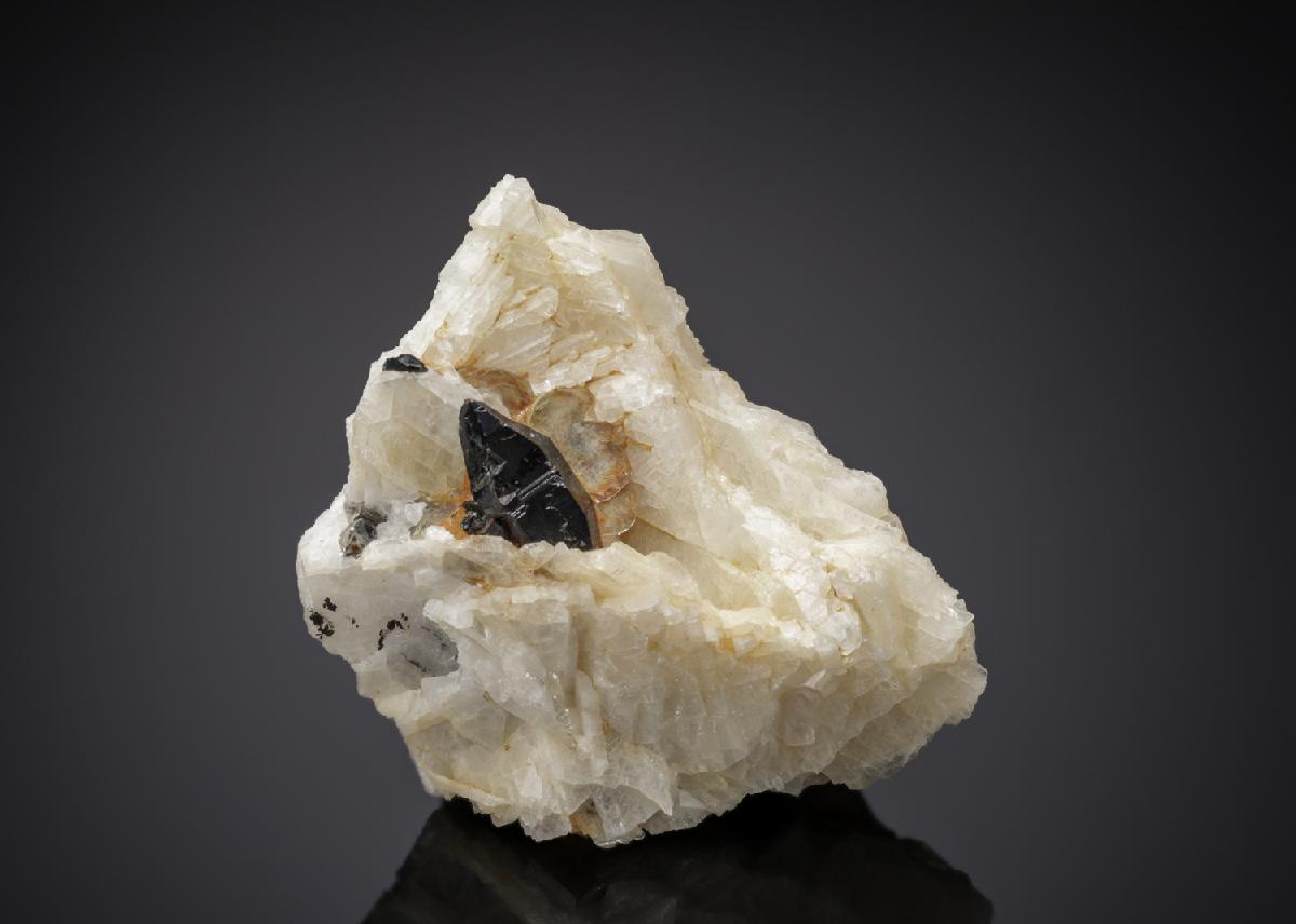 CC27013 specimen image