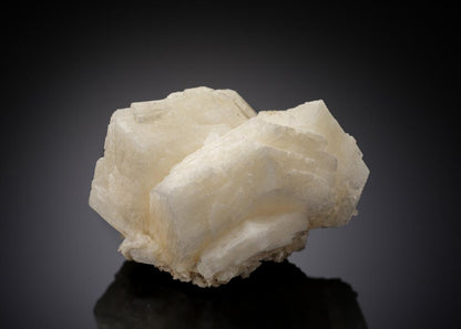CC27015 specimen image