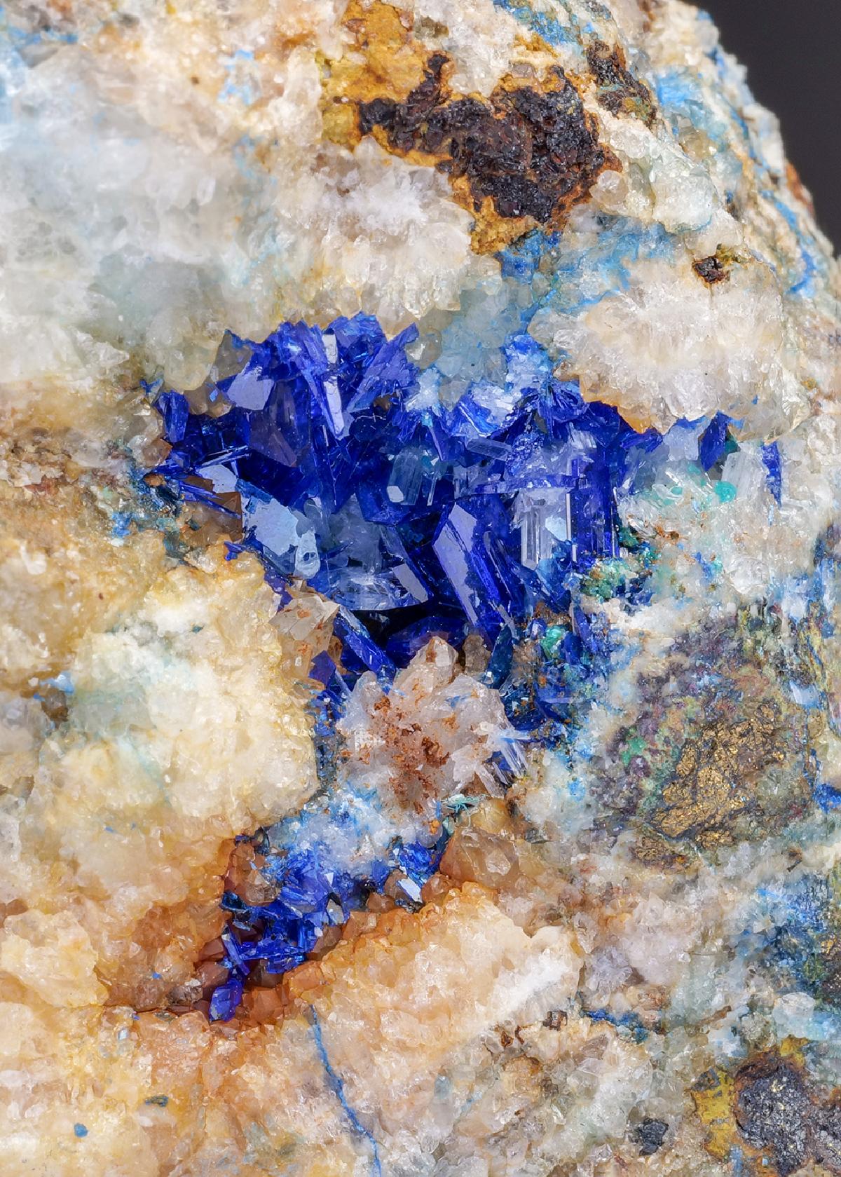 CC27023 specimen image