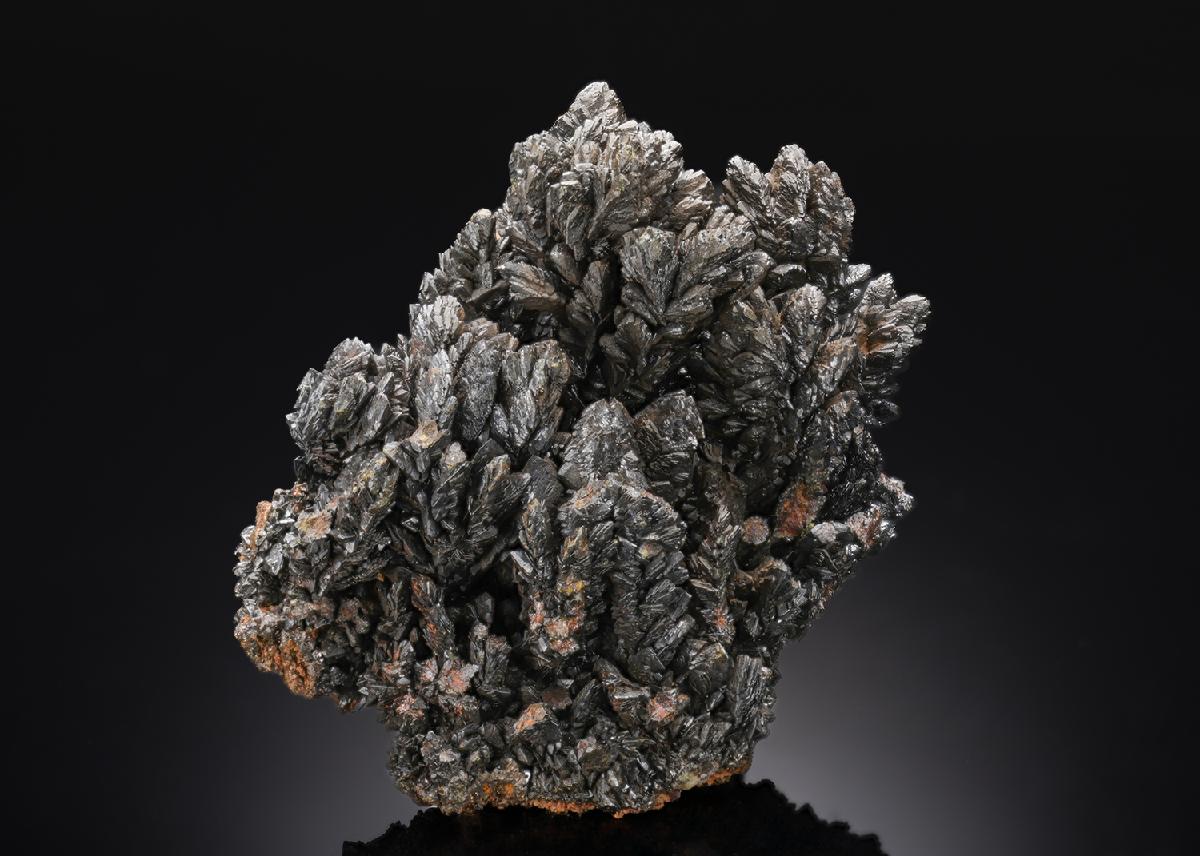 CC27049 specimen image