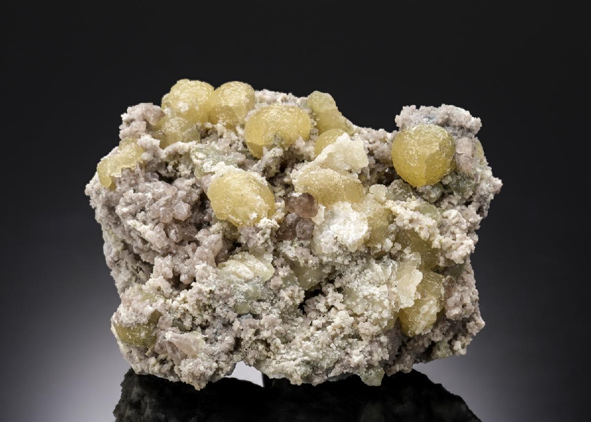 CC27053 specimen image