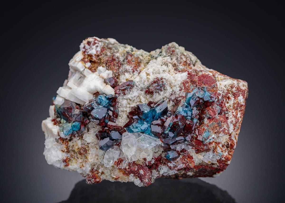 CC27077 specimen image