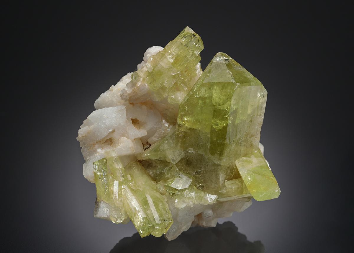 CC27083 specimen image