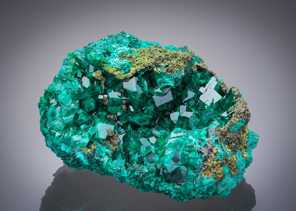 CC27087 specimen image