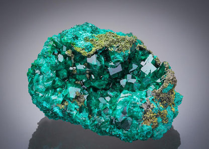 CC27087 specimen image
