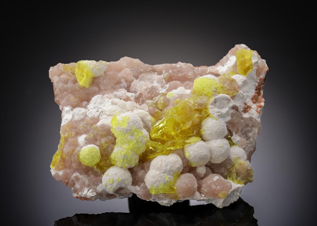 CC27097 specimen image