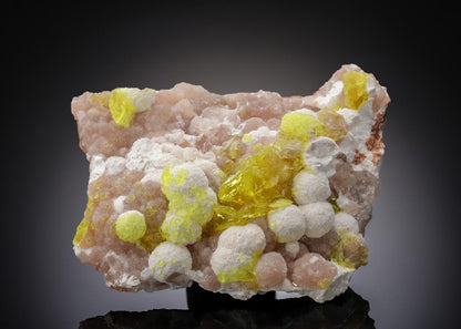 CC27097 specimen image