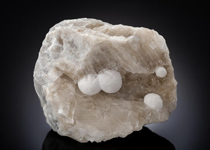 CC27099 specimen image