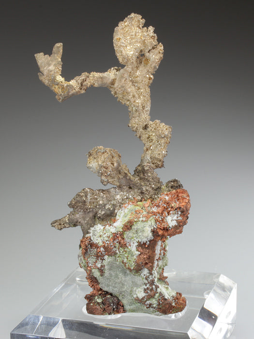 CC2710 specimen image
