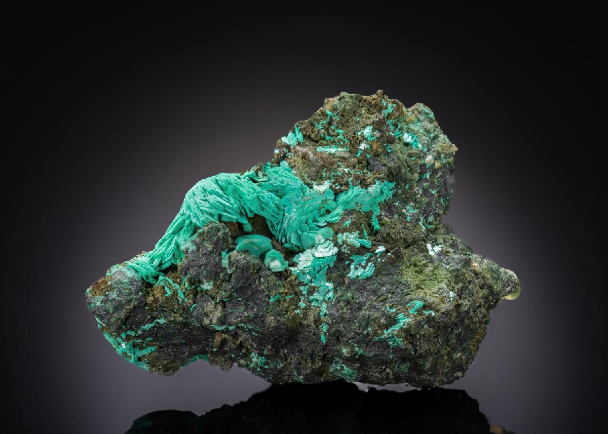 CC27105 specimen image