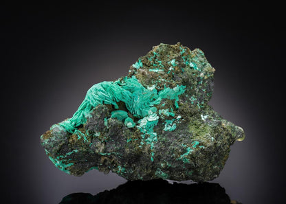 CC27105 specimen image