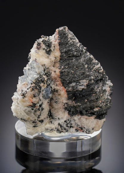 CC27109 specimen image
