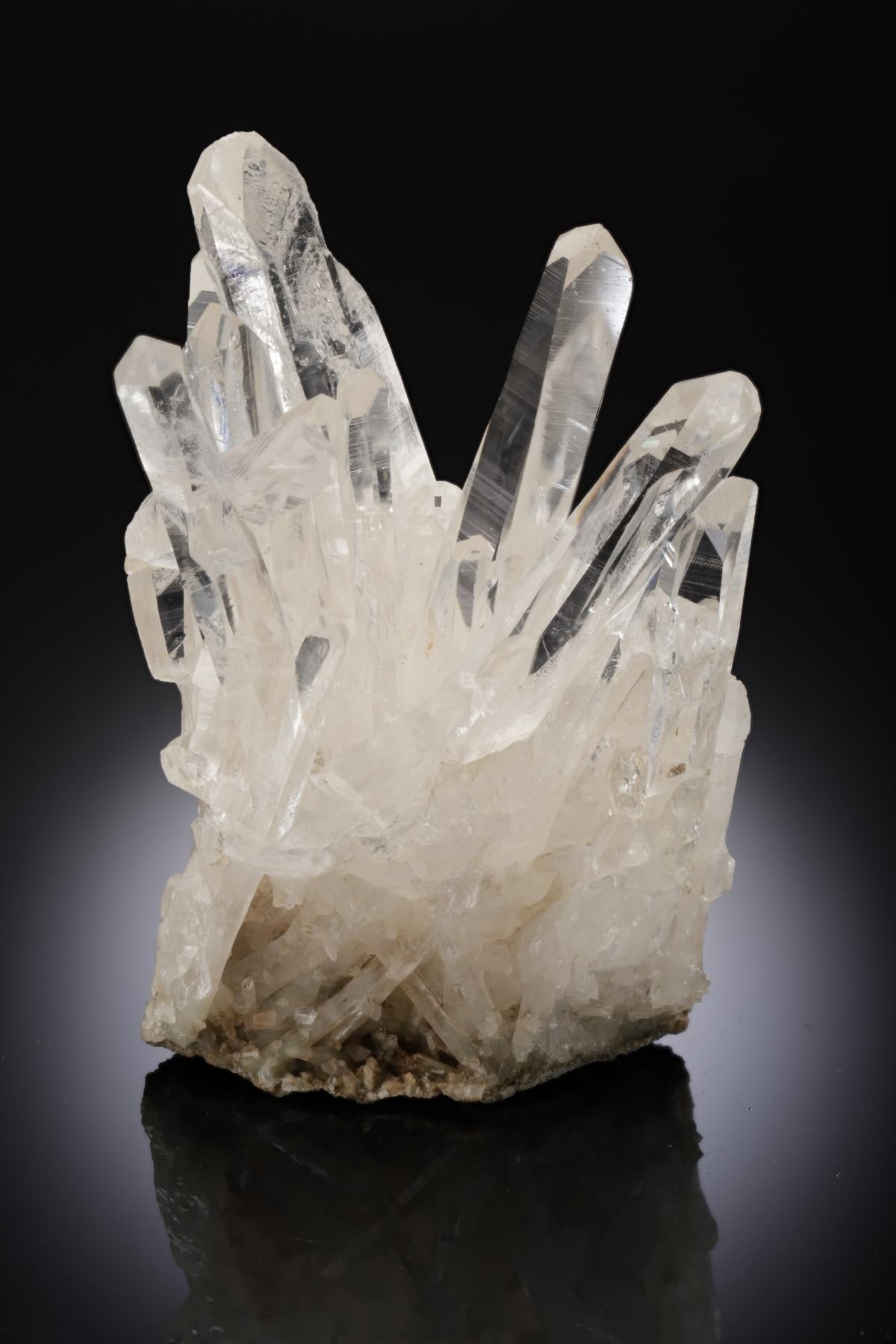 CC27125 specimen image