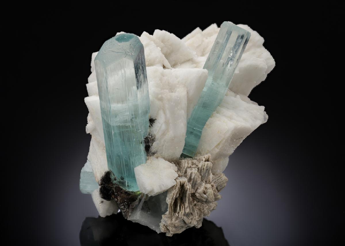 CC27135 specimen image