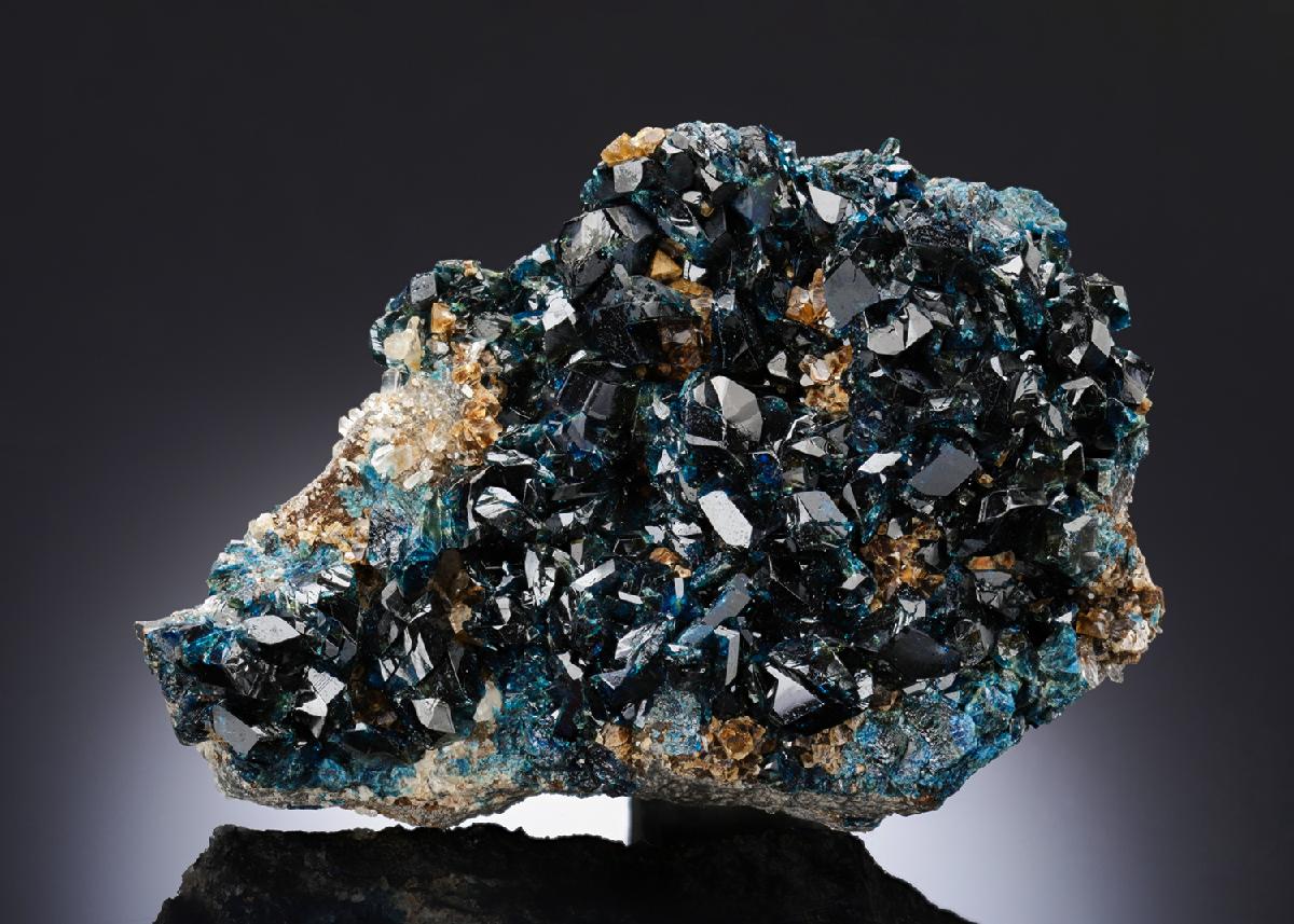CC27141 specimen image