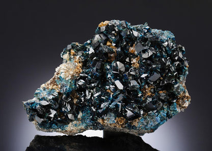 CC27141 specimen image