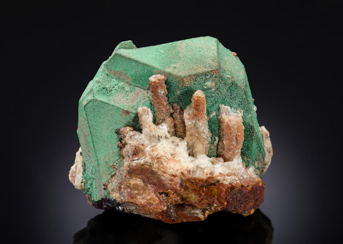 CC27149 specimen image
