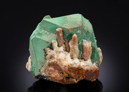 CC27149 specimen image