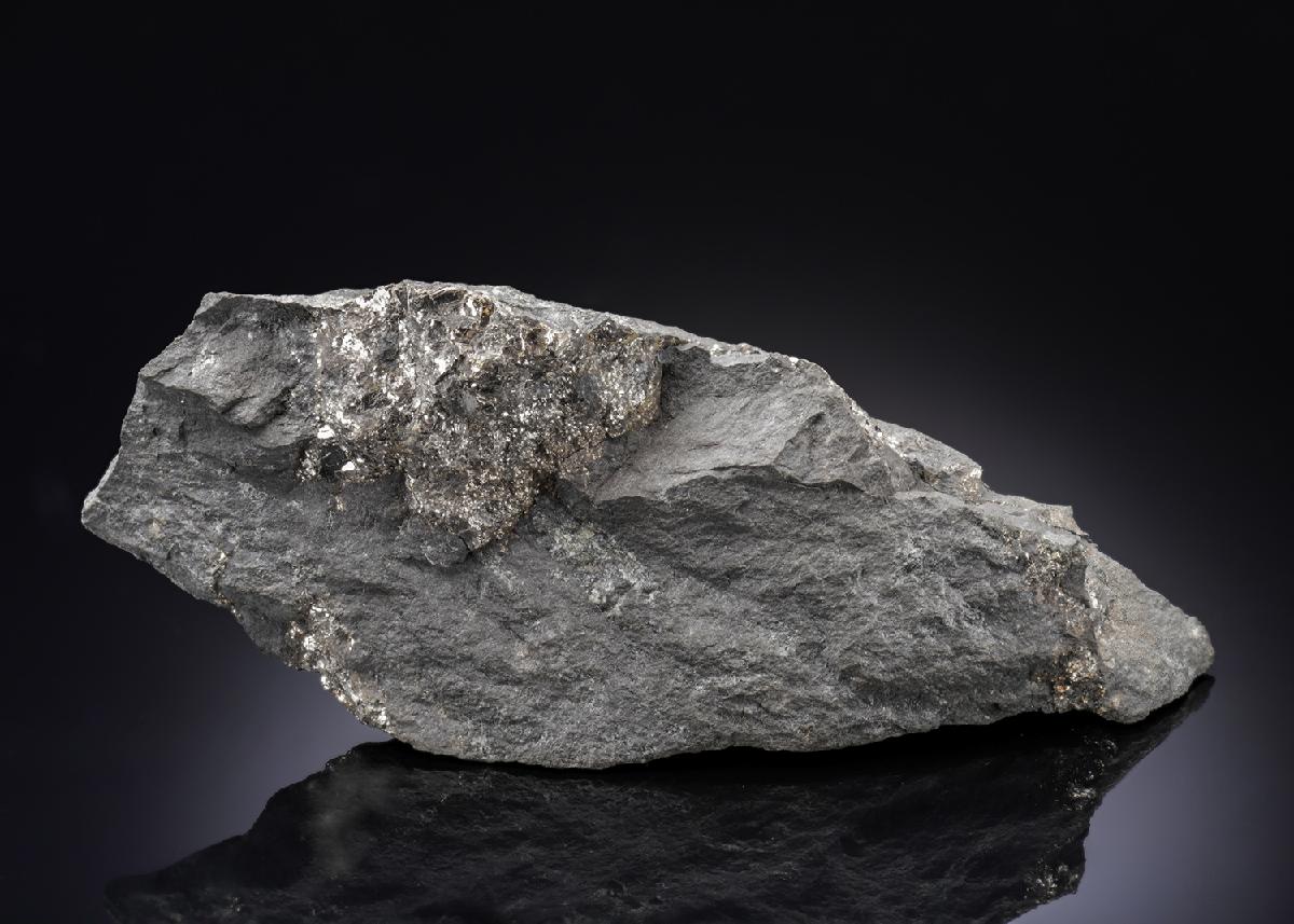 CC27157 specimen image