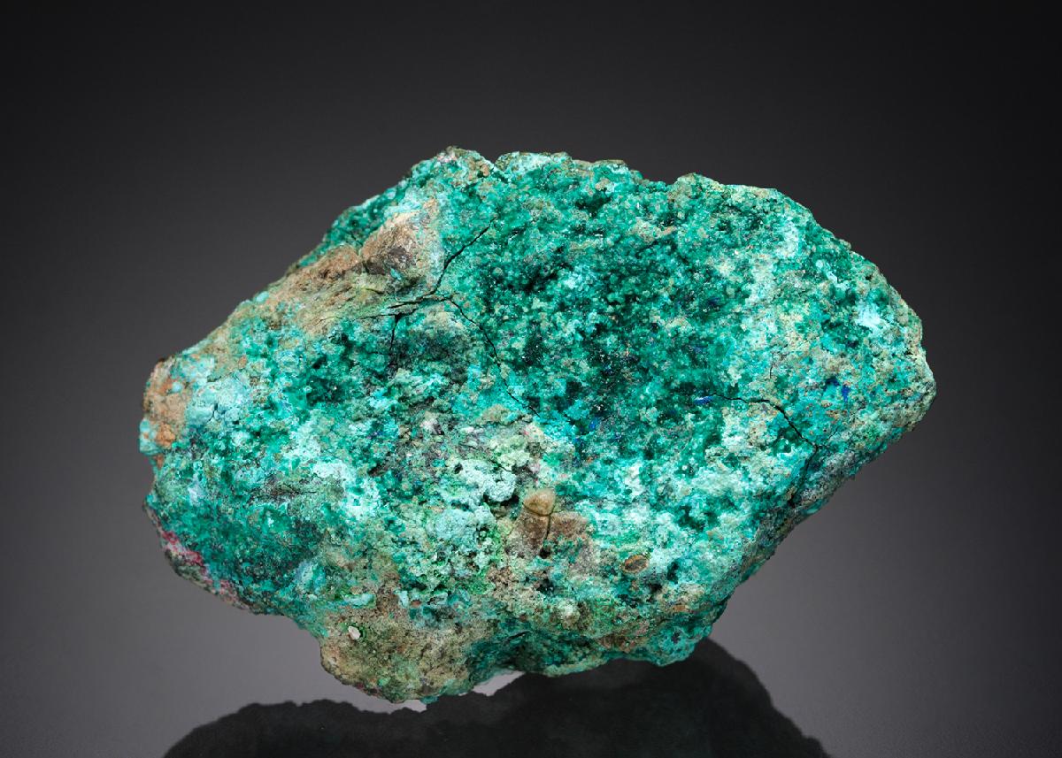CC27177 specimen image