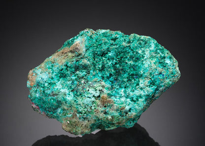 CC27177 specimen image