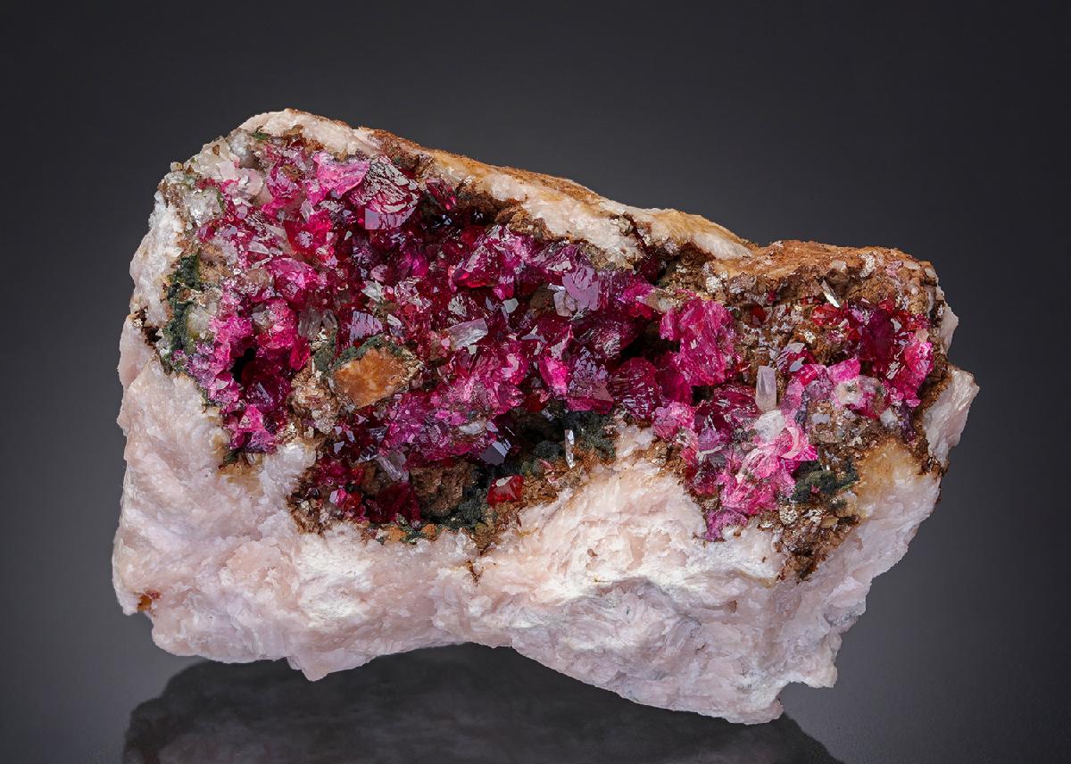 CC27199 specimen image