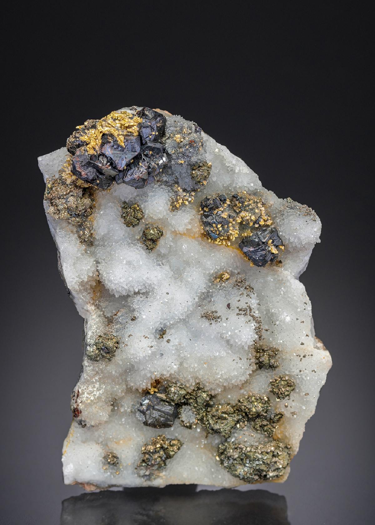 CC27207 specimen image