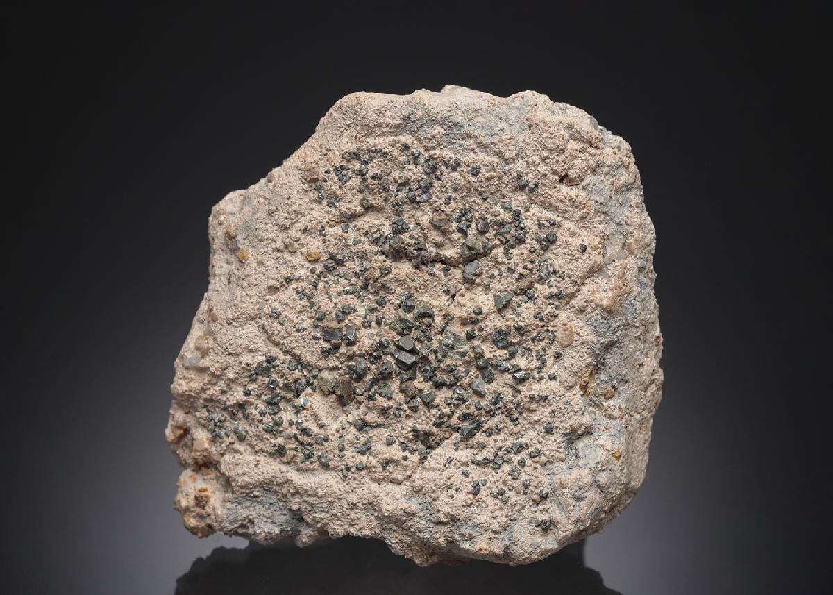 CC27211 specimen image
