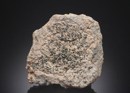 CC27211 specimen image