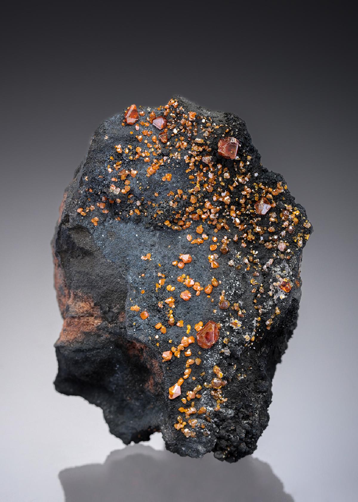 CC27217 specimen image