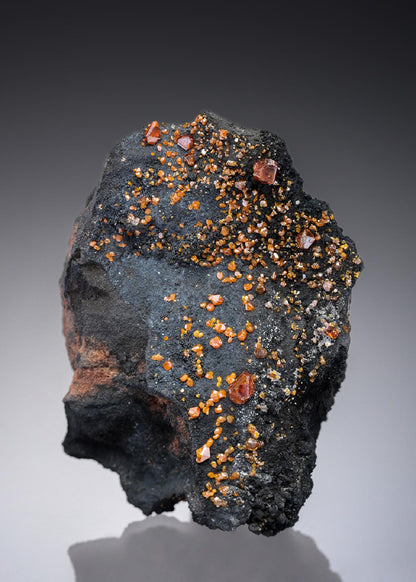 CC27217 specimen image