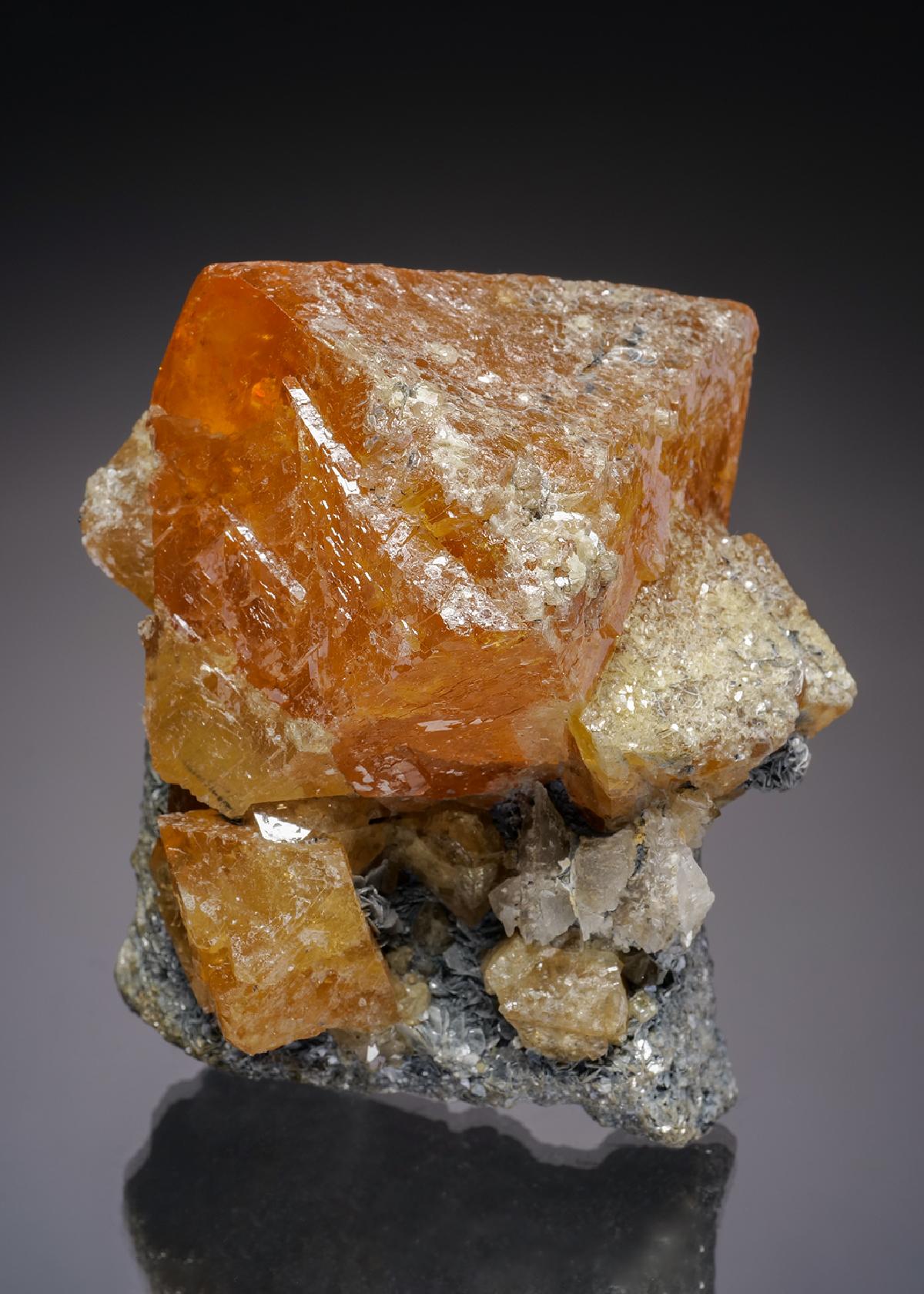 CC27219 specimen image