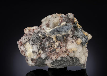 CC27231 specimen image