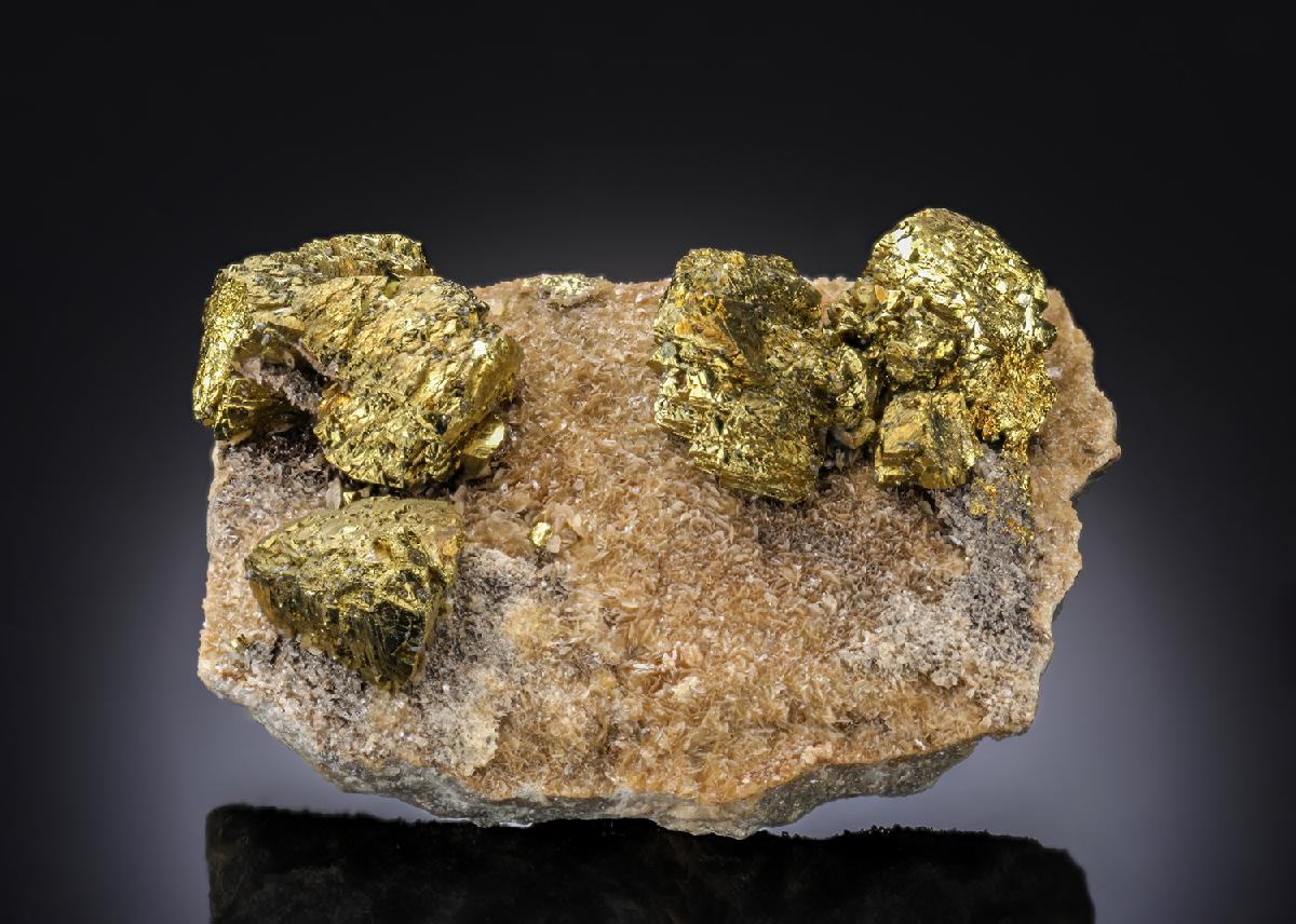 CC27233 specimen image