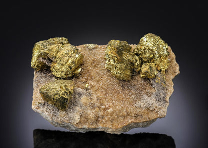 CC27233 specimen image