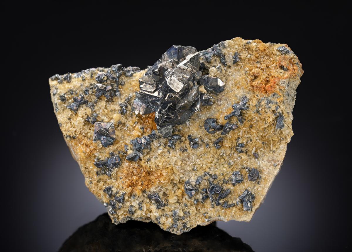 CC27235 specimen image