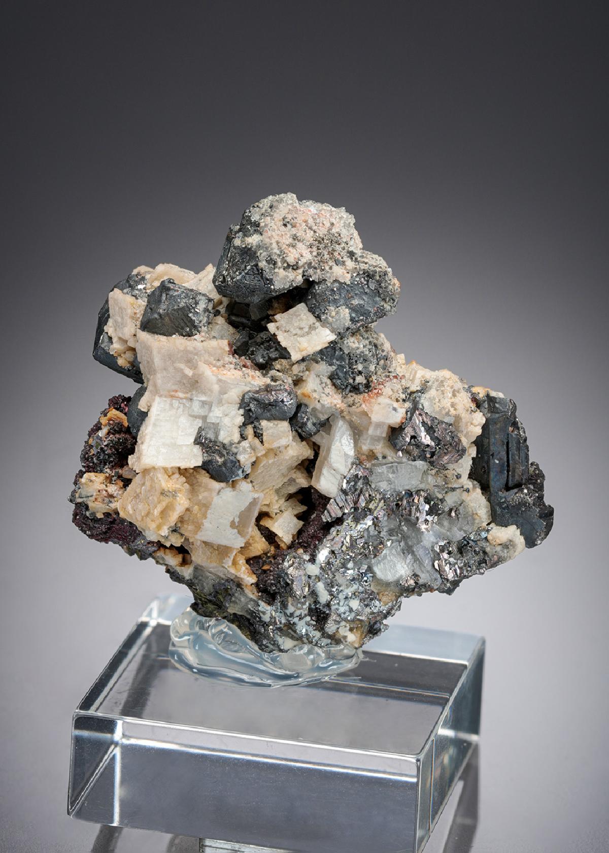 CC27253 specimen image