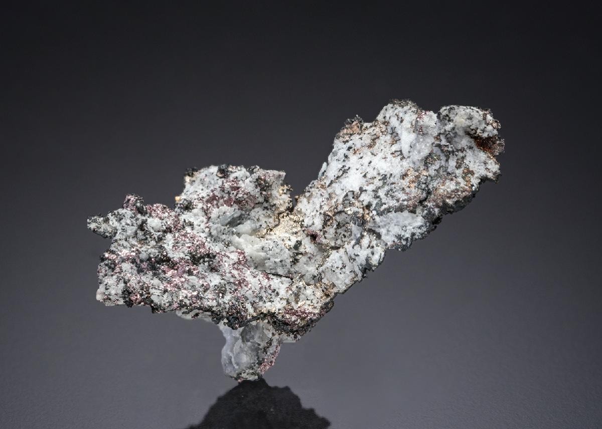 CC27277 specimen image