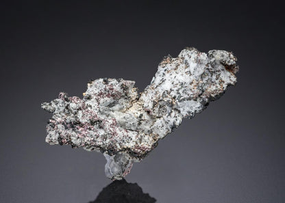 CC27277 specimen image