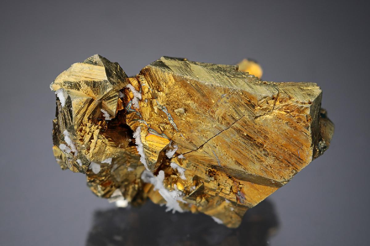CC27297 specimen image