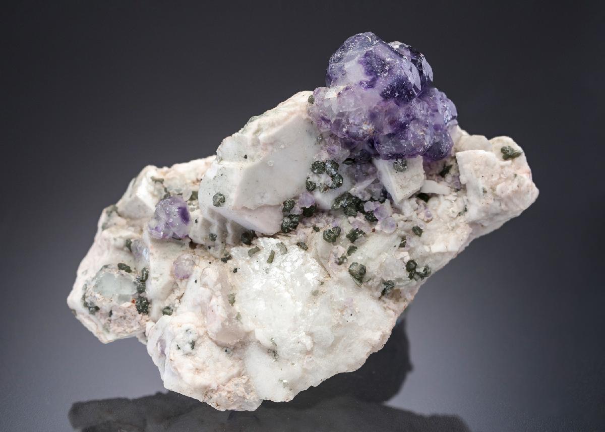 CC27307 specimen image